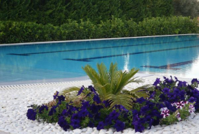 Cosmos Resort